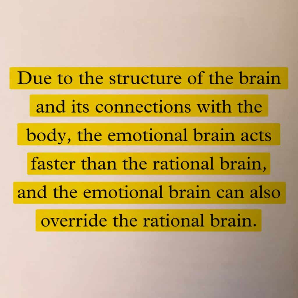 emotional intelligence brain structure